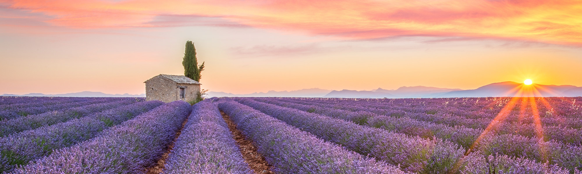 Frankreich_Landingpage1