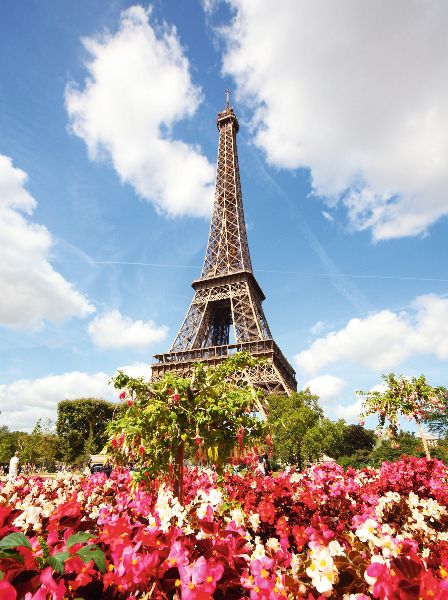 Busreise Paris-Frühjahr