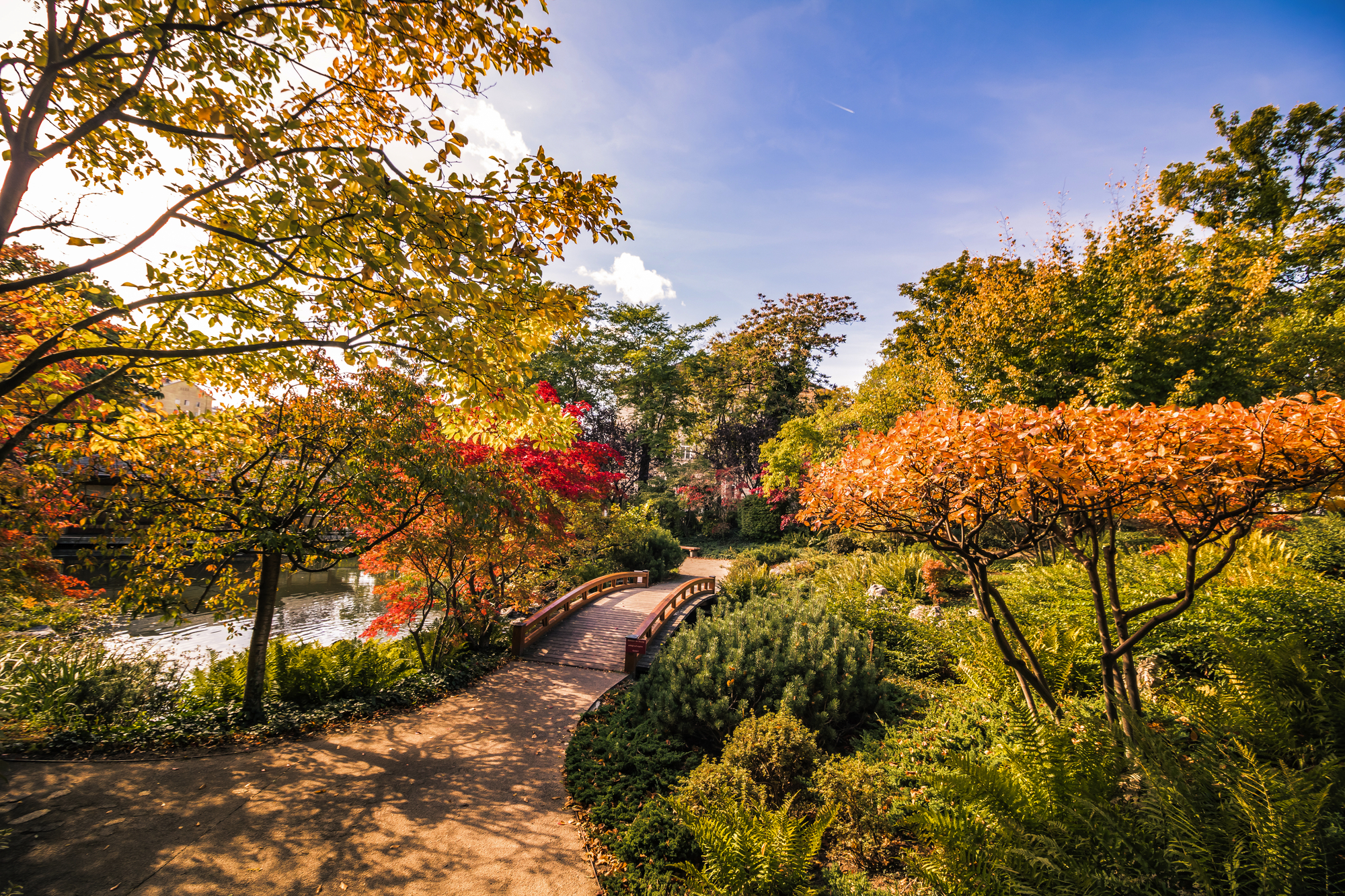 Parkbesuch in Wien