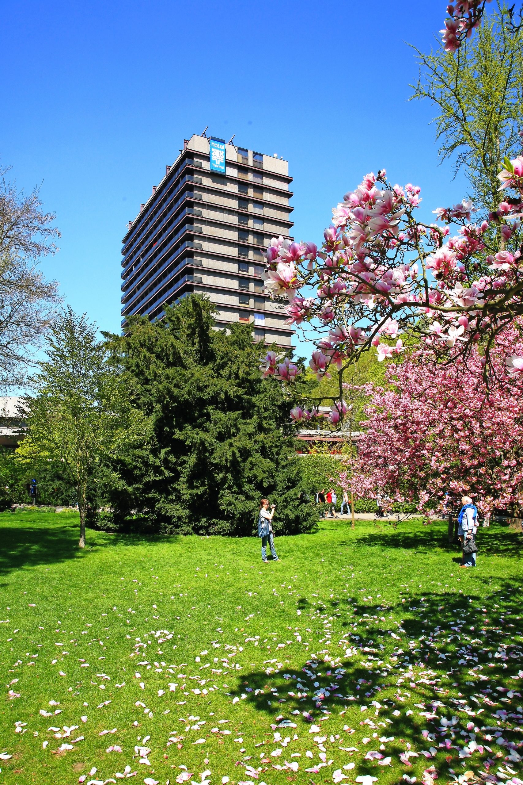 Kurreisen mit IKARUS Reisen