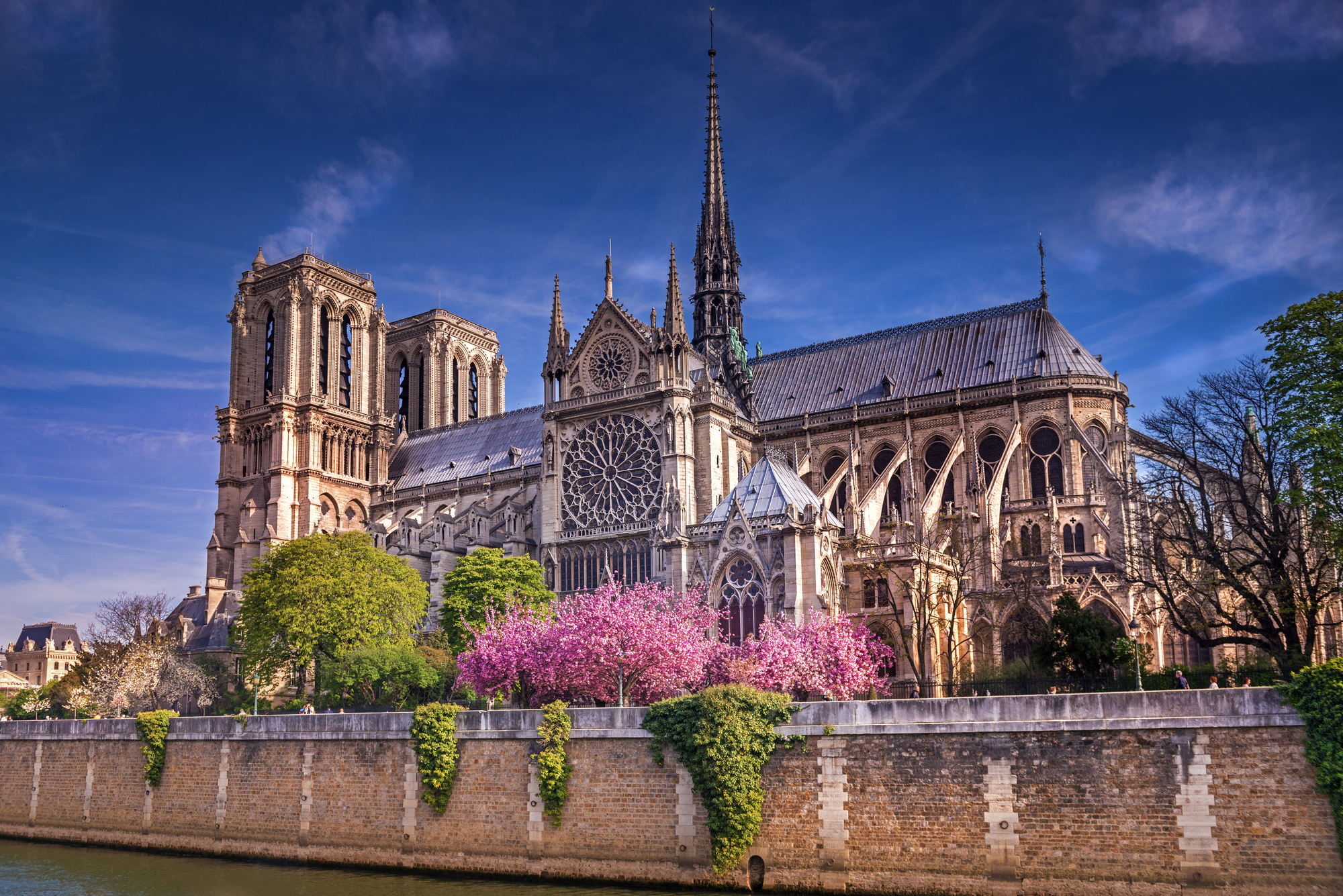 Busreise Paris-NotreDame
