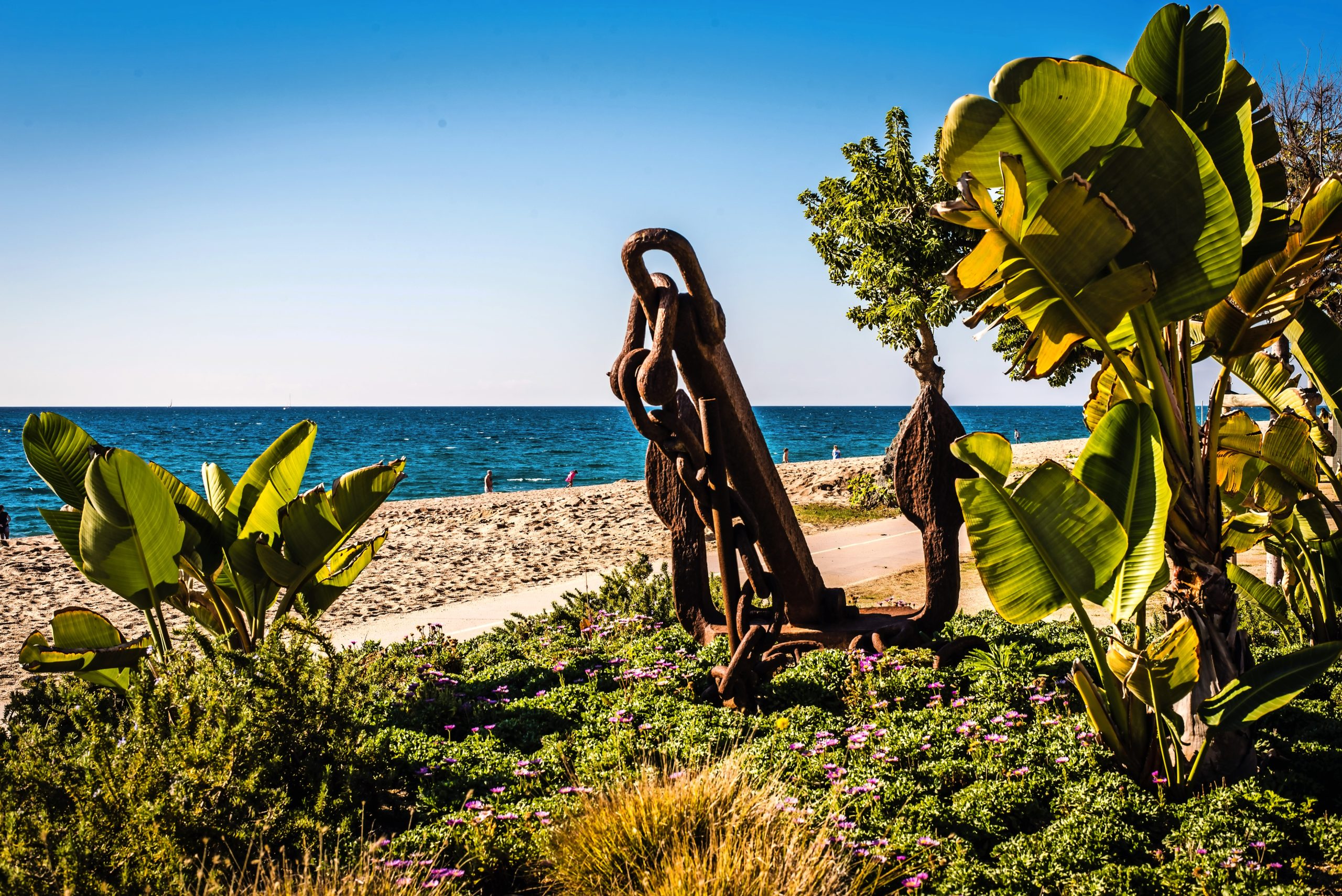 PiedadeMar-Grüner Strand