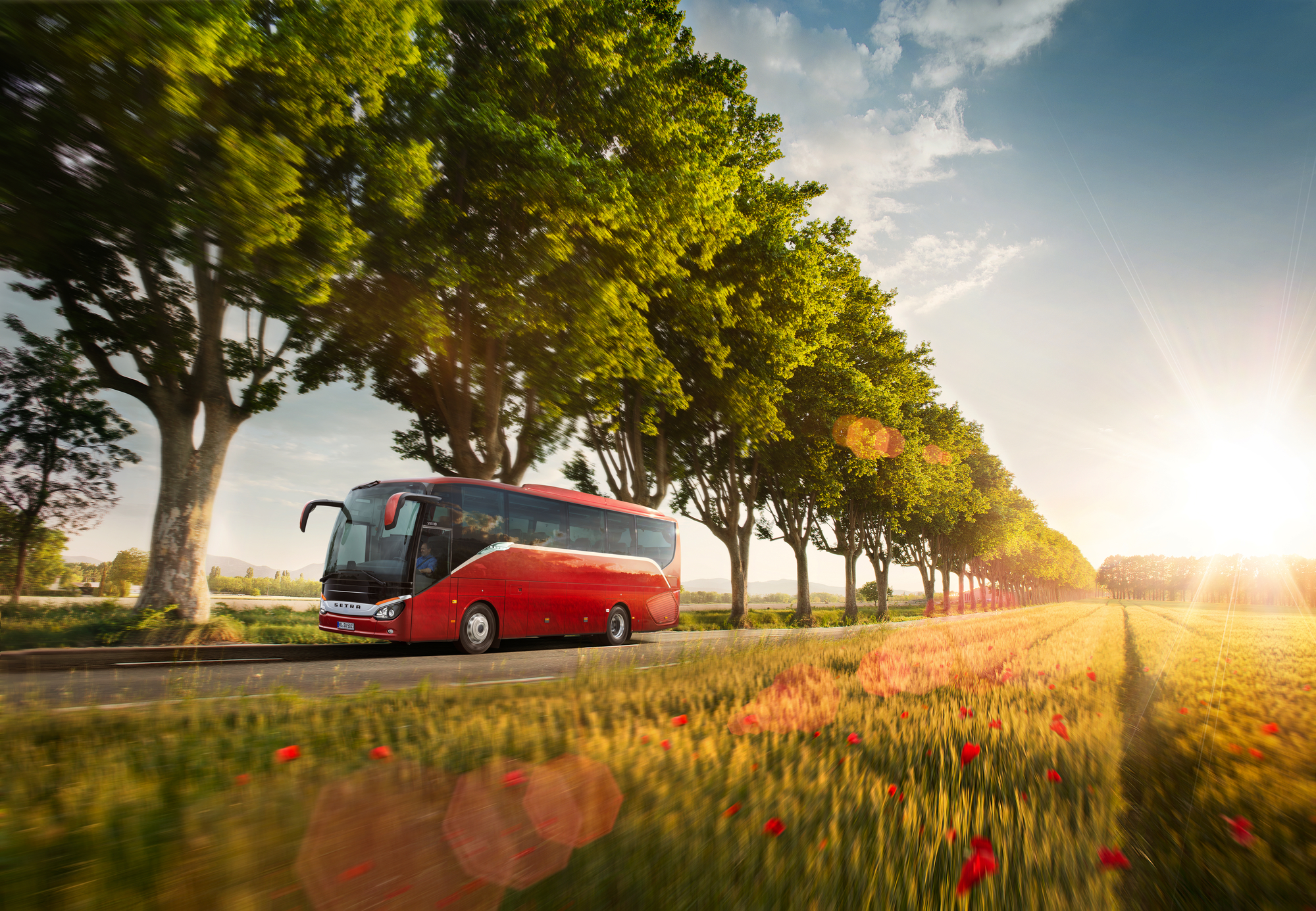 Eine Busreise ist nachhaltig - roter Bus im Grünen