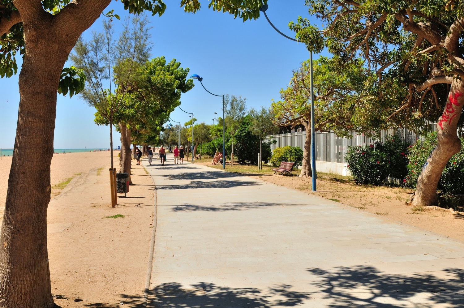 ©Eduard Shelesnjak - stock.adobe.com Fußgängerweg neben einem Strand mit Bäumen und Laternen.