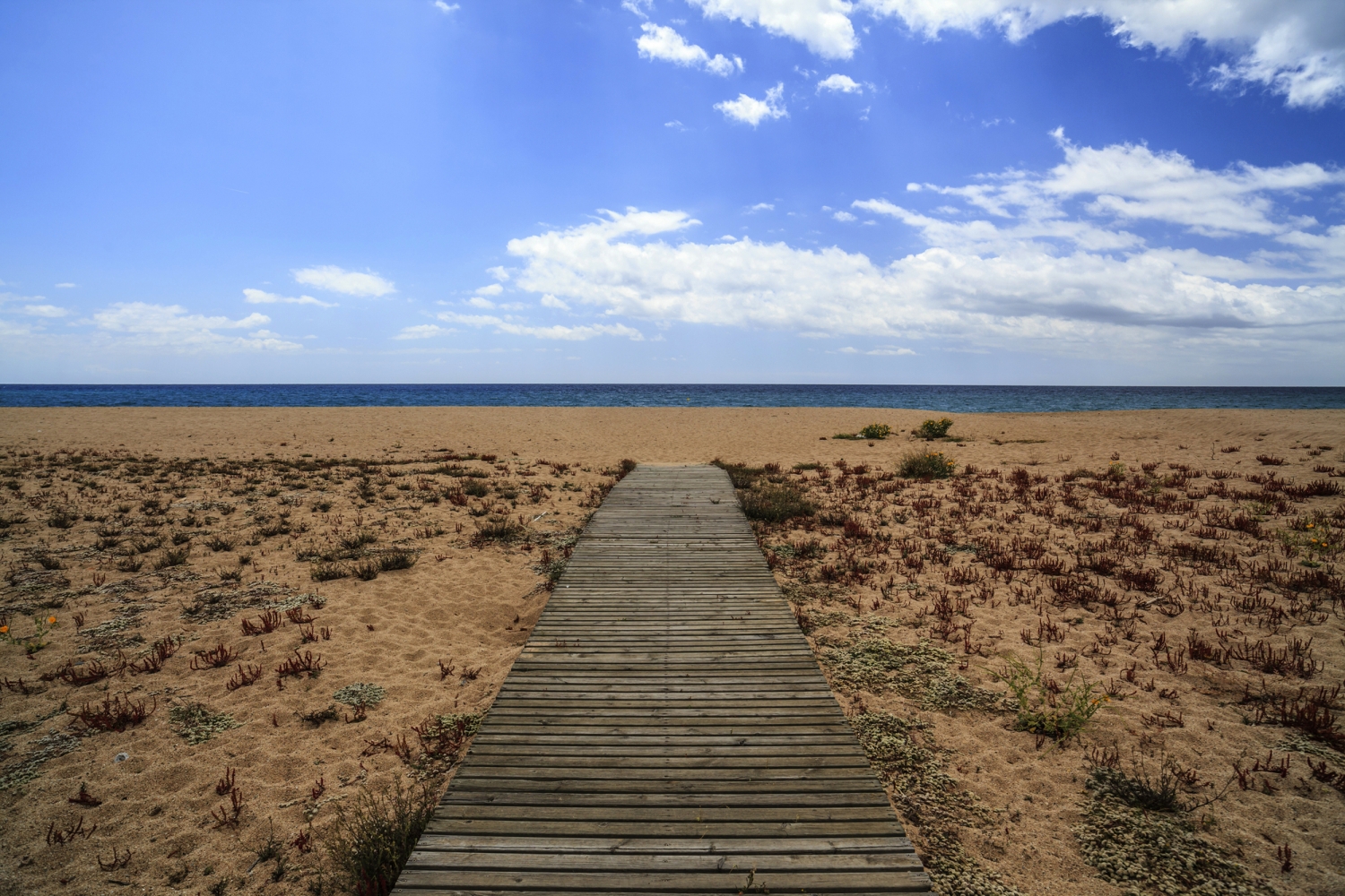©joan_bautista - stock.adobe.com Holzsteg führt über sandigen Strand mit Pflanzen hin zu einem weiten Meer bei bewölktem Himmel.