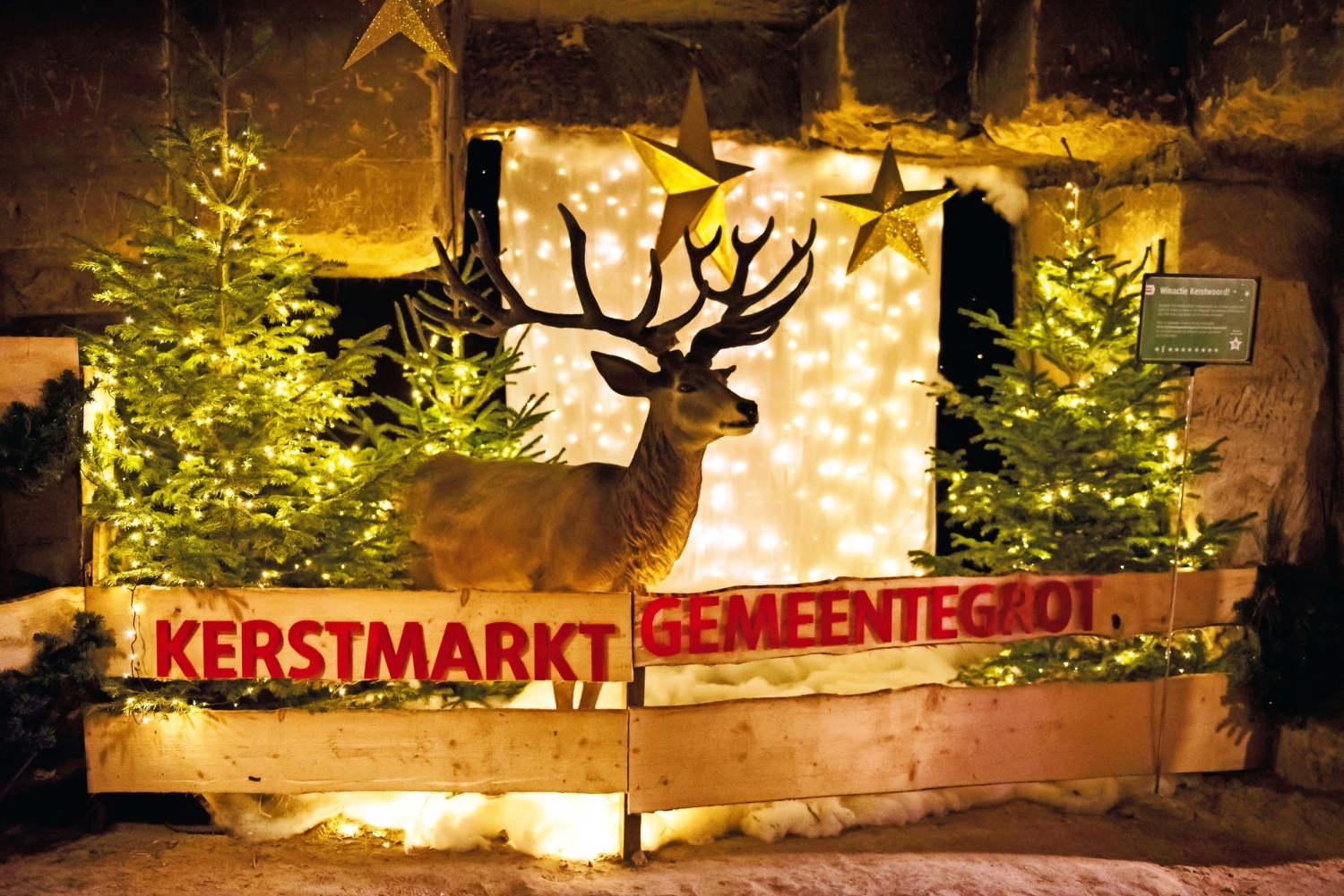 Weihnachtsmarkt-Ausstellung mit Rentier und leuchtenden Bäumen in einer Grotte.