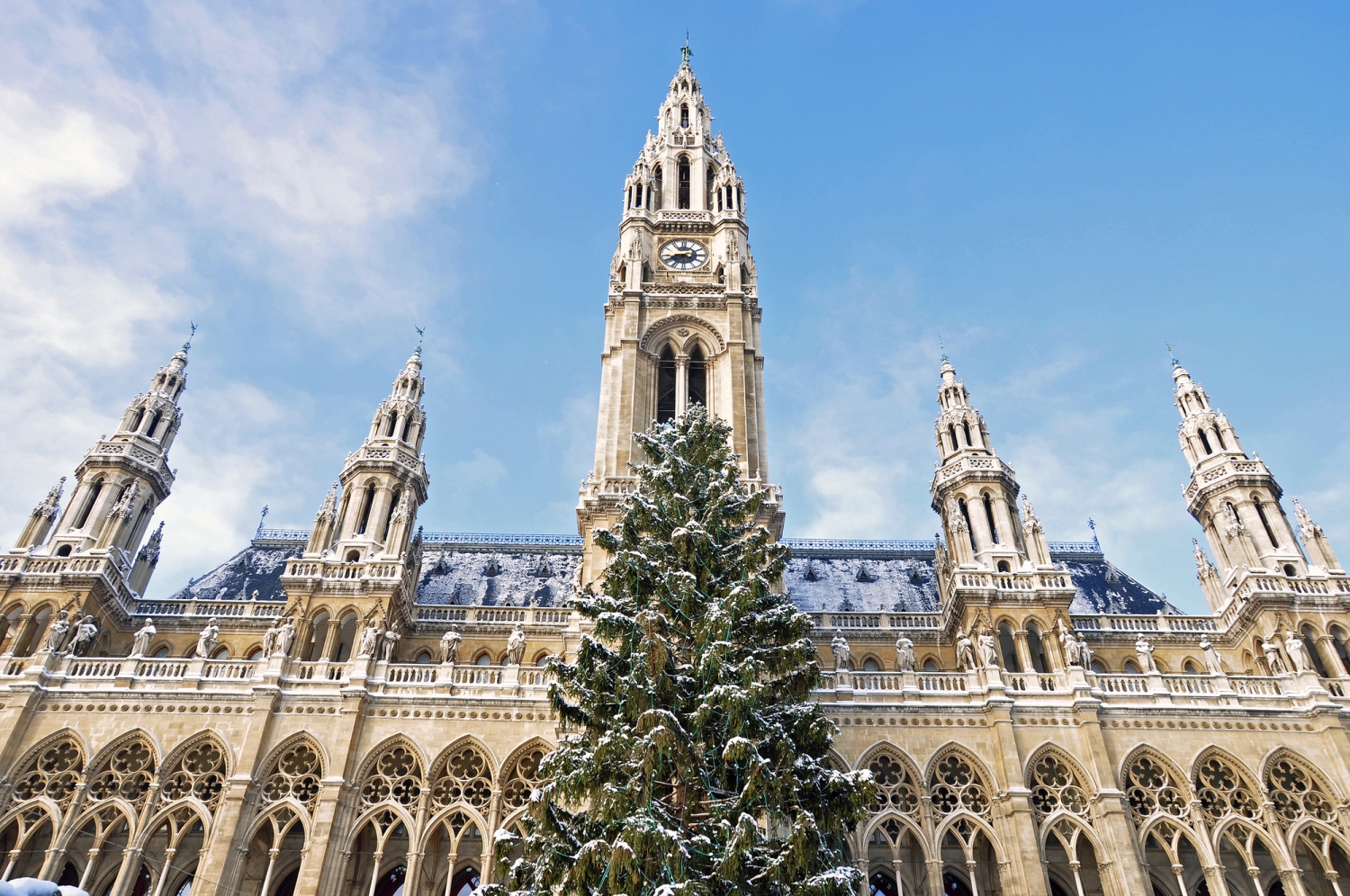 Historisches Gebäude mit Turm und schneebedecktem Weihnachtsbaum davor.