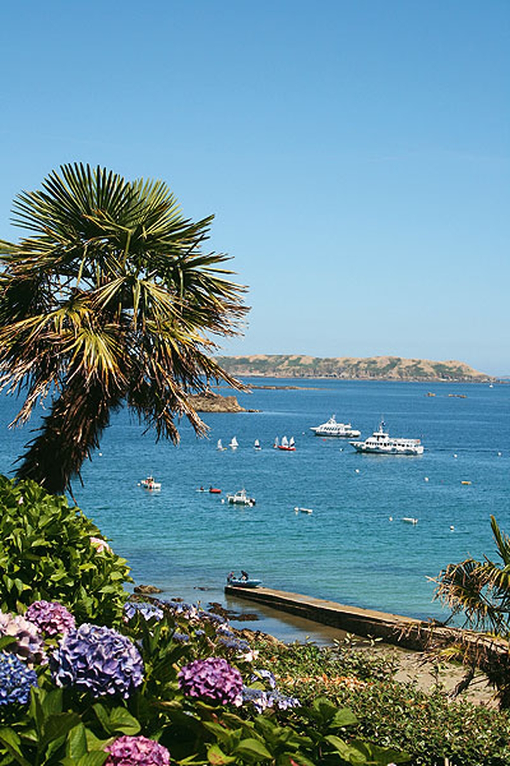 Blick auf das Meer mit Palmen, Blumen und Booten an der Rosa Granitküste in der Bretagne.