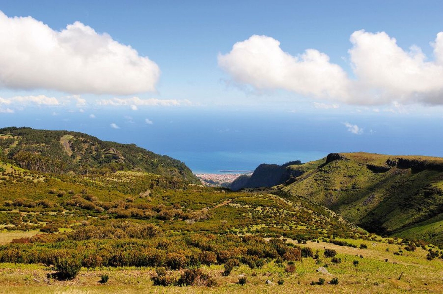 Blick von einer Hochebene auf Funchal, Madeira, mit grünen Hügeln im Vordergrund und dem Meer im Hintergrund unter einem blauen Himmel mit einigen Wolken.