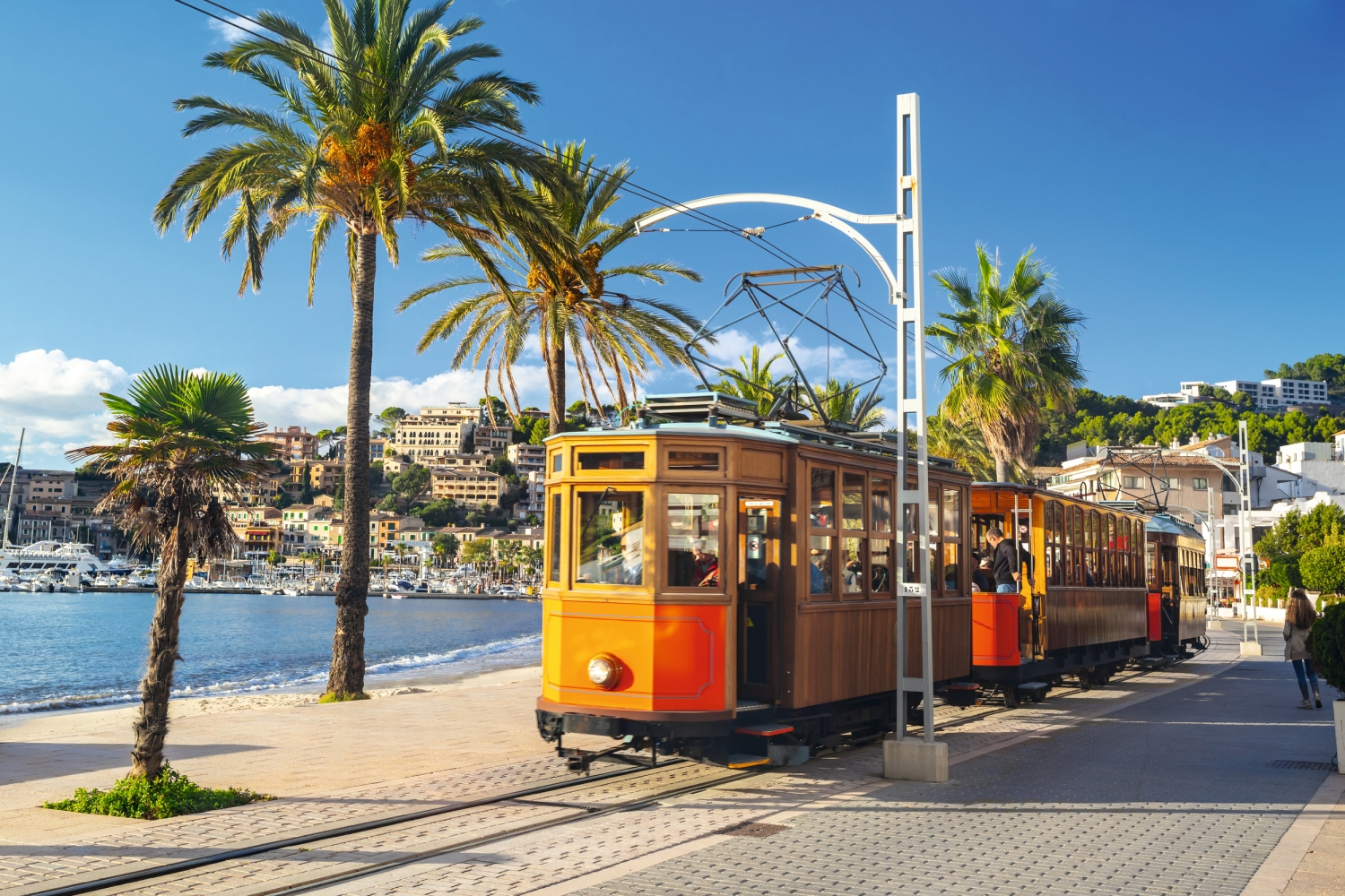 Straßenbahn fährt entlang einer Promenade mit Palmen und Meer im Hintergrund.