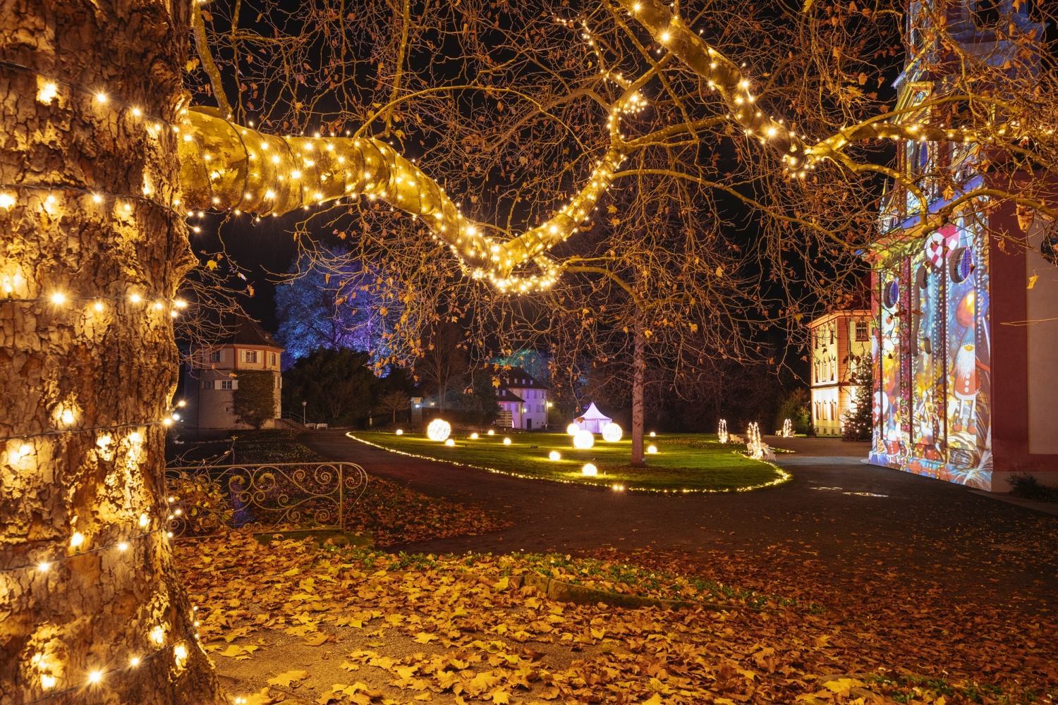 Weihnachtlich beleuchteter Garten auf der Insel Mainau bei Nacht mit Lichterketten und Laub.