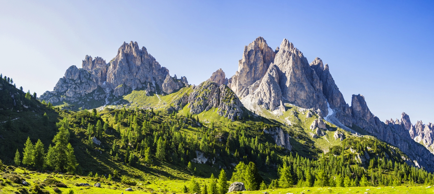 Berglandschaft mit grünen Wiesen und Fichten unter klarem Himmel.