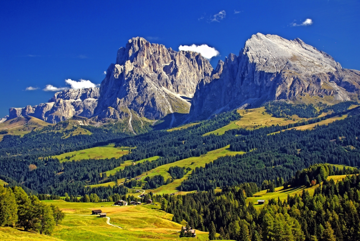 Landschaft mit grünen Wiesen und hohen, felsigen Bergen im Hintergrund.
