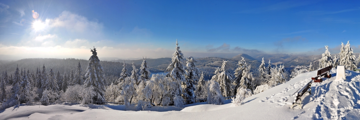 Winterliche Landschaft mit verschneiten Bäumen und klarem Himmel.